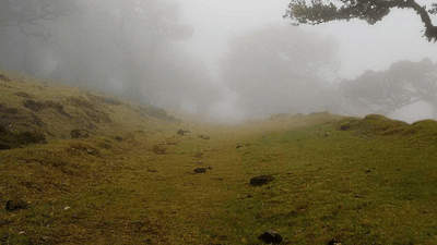 Baking - professional stock photography