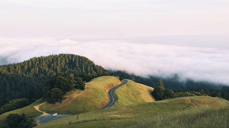 Baking - professional stock photography