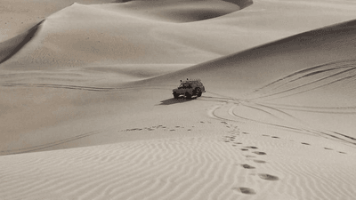 Barbecue - professional stock photography