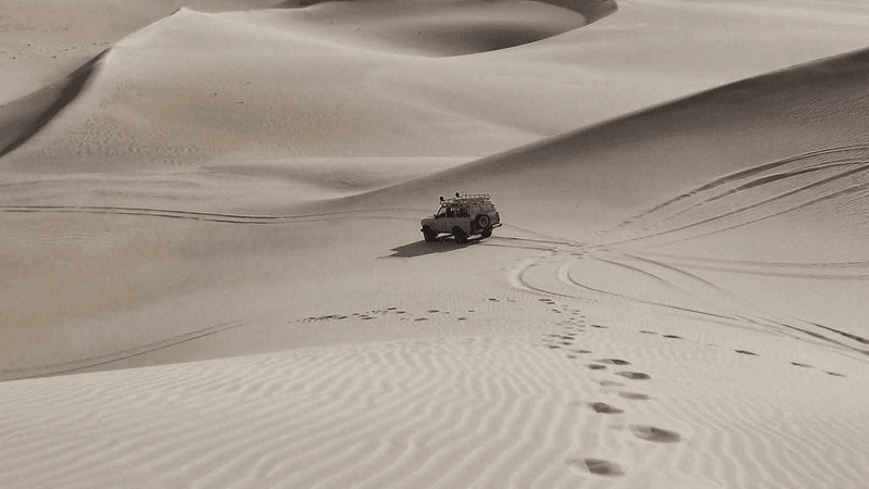 Barbecue - professional stock photography