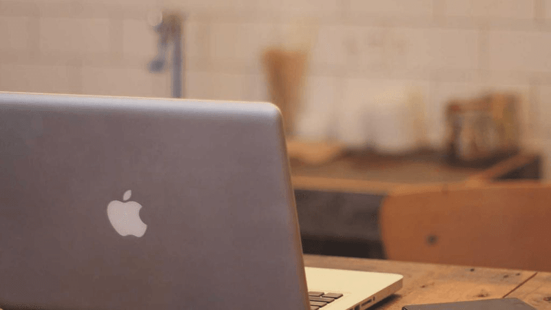 Barbecue - professional stock photography