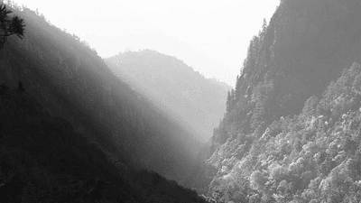 Bread - professional stock photography