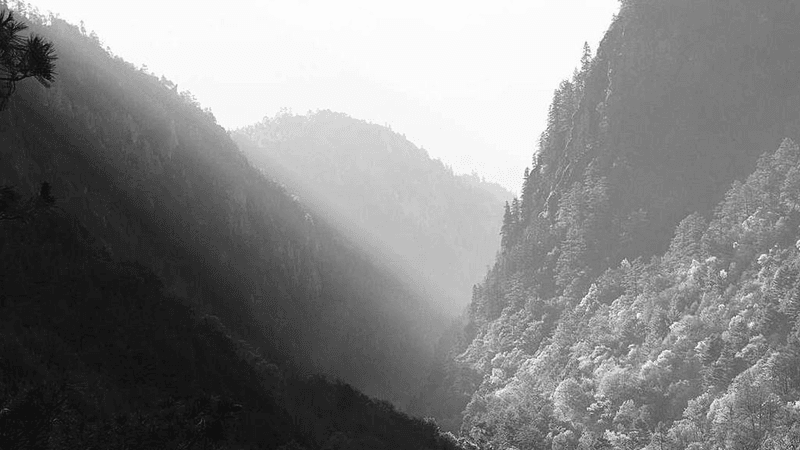 Bread - professional stock photography