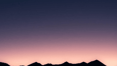 Cake - professional stock photography