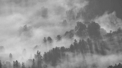 Cake - professional stock photography