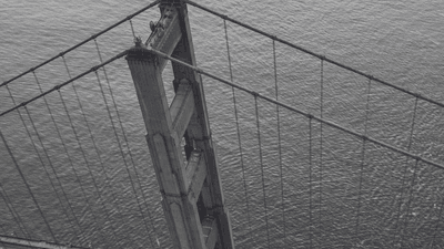 Cake - professional stock photography