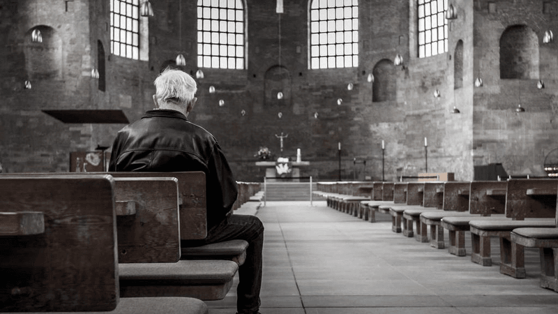 Dessert - professional stock photography