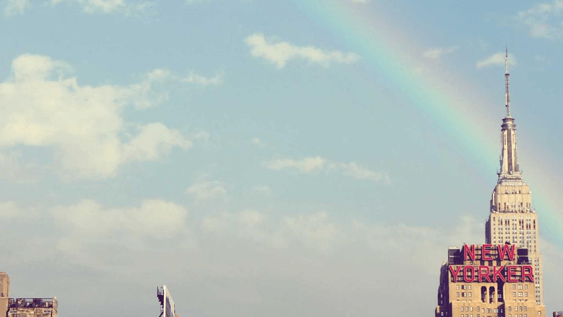 Dessert - professional stock photography