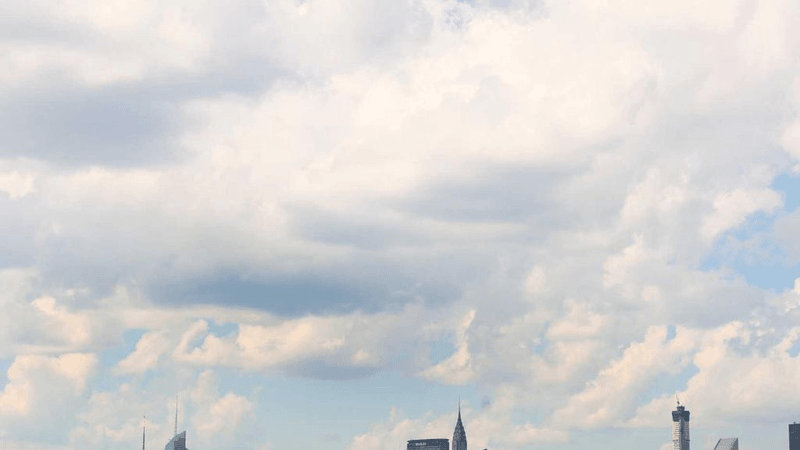 Dessert - professional stock photography