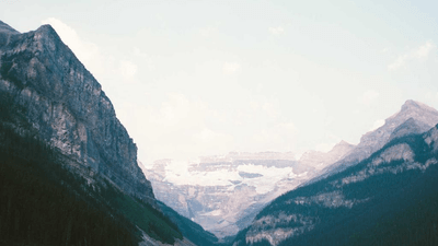 Grilling - professional stock photography