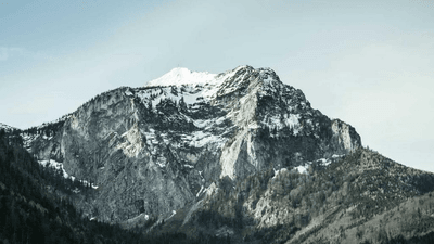 Grilling - professional stock photography