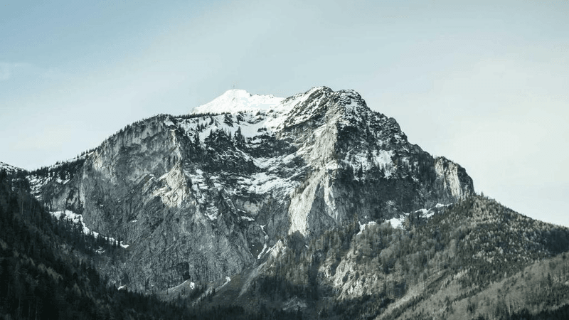 Grilling - professional stock photography