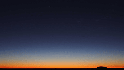 Grilling - professional stock photography