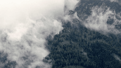 Herbs - professional stock photography