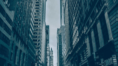 Herbs - professional stock photography