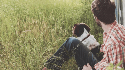 Kitchen - professional stock photography