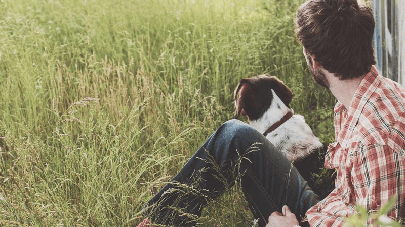 Kitchen - professional stock photography