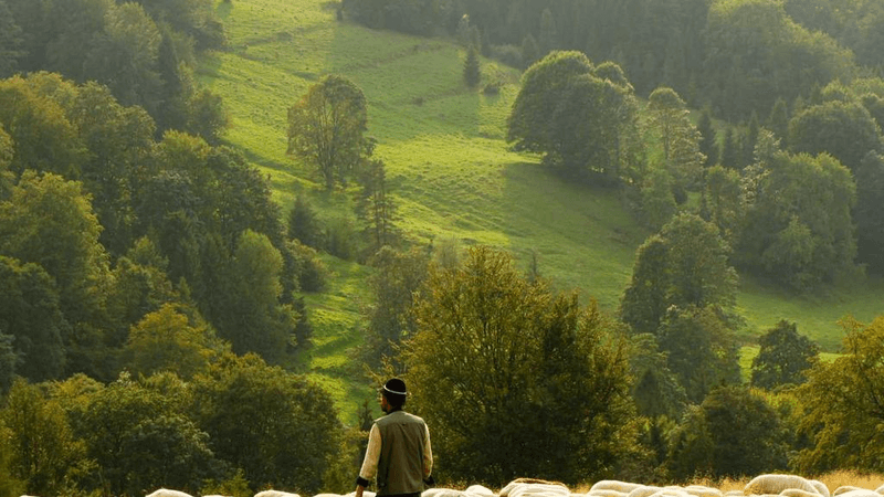 Kitchen - professional stock photography