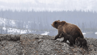 Pasta - professional stock photography