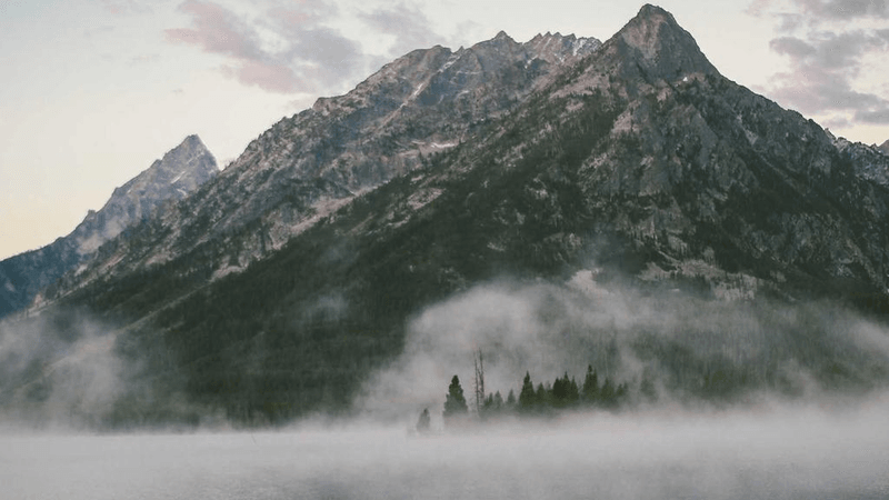 Pasta - professional stock photography