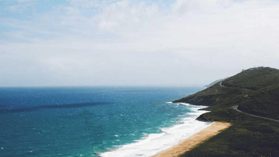 Pizza - professional stock photography