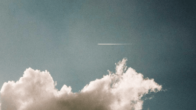 Salad - professional stock photography