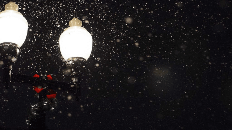 Salad - professional stock photography