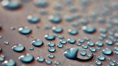 Seafood - professional stock photography