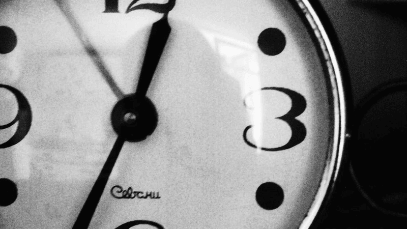 Seafood - professional stock photography