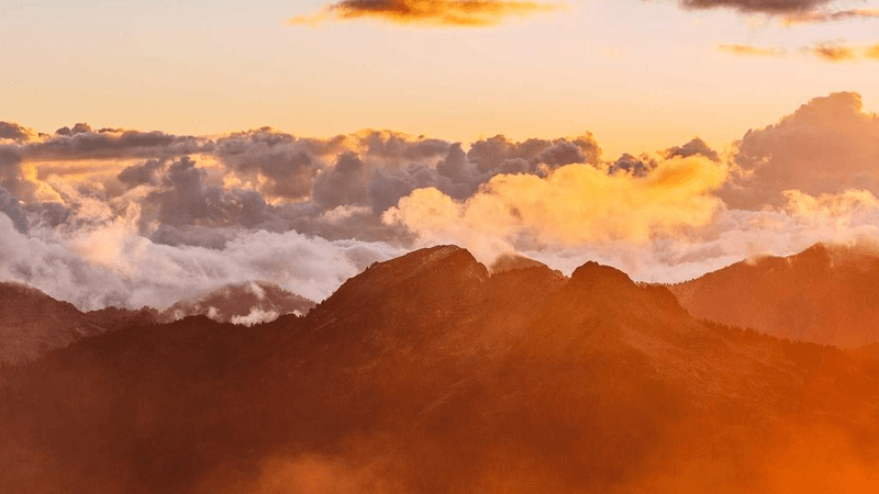 Seafood - professional stock photography