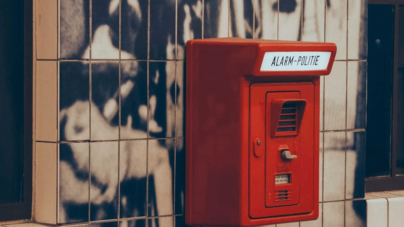 Seafood - professional stock photography