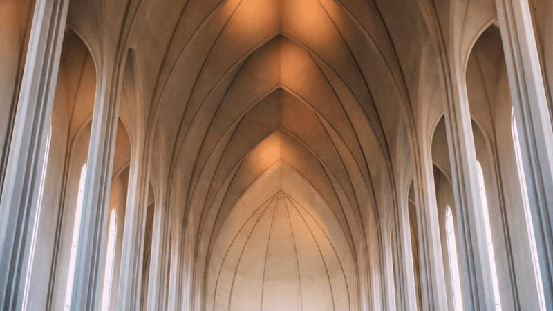 Seafood - professional stock photography