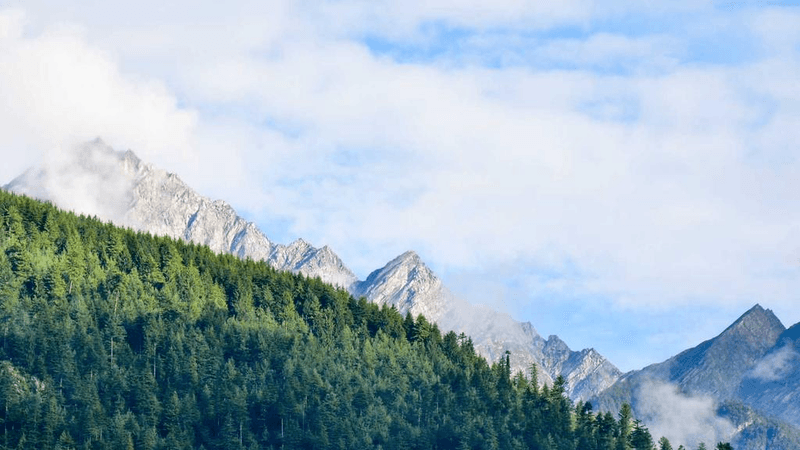 Smoothie - professional stock photography