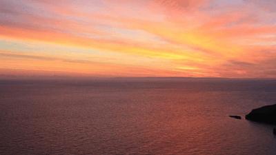 Spices - professional stock photography