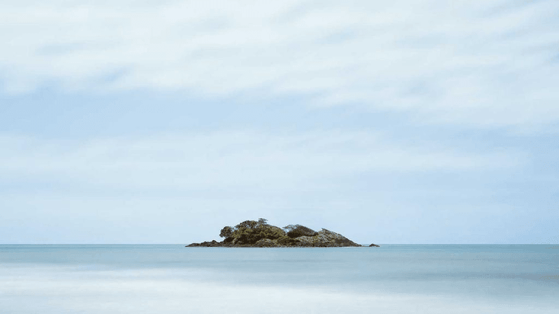 Steak - professional stock photography