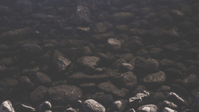 Steak - professional stock photography