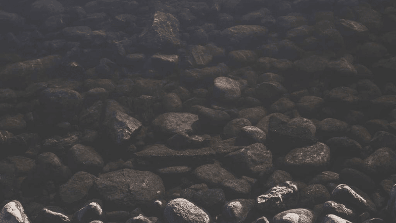 Steak - professional stock photography