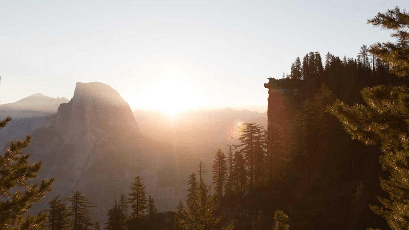 Sushi - professional stock photography