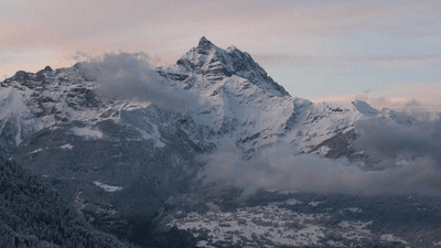 Sushi - professional stock photography