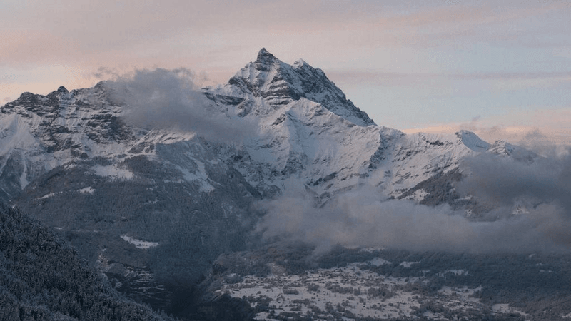 Sushi - professional stock photography