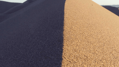 Sushi - professional stock photography