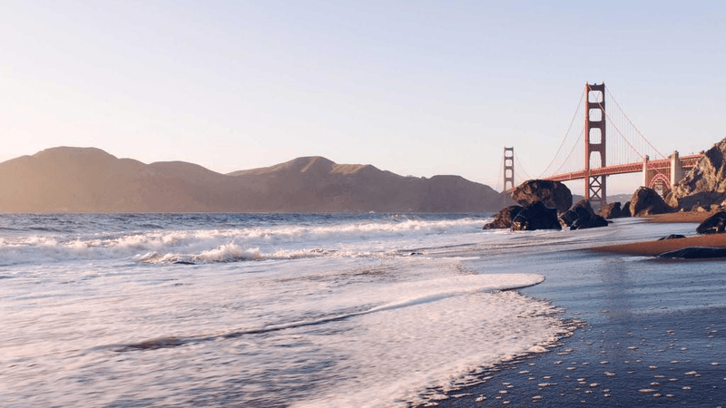 Vegetables - professional stock photography