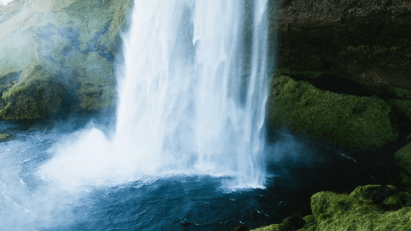 Vegetables - professional stock photography