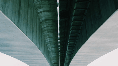 Vegetables - professional stock photography