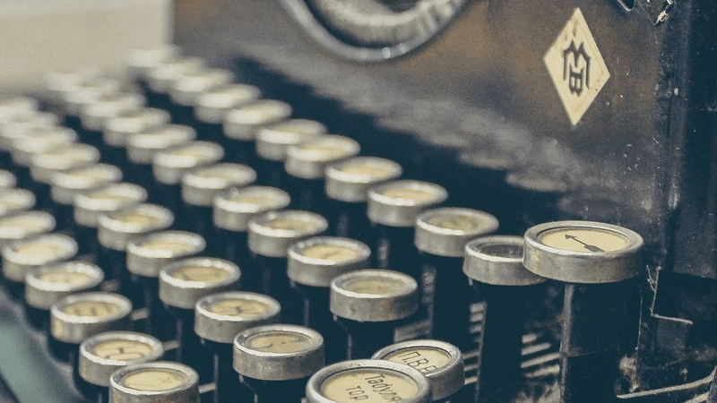 Vegetables - professional stock photography