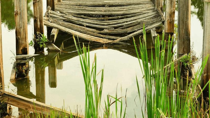 Wok - professional stock photography